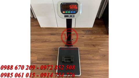 Cân Điện Tử 200kg Chống Rung, Chốt Số (VT-C31)