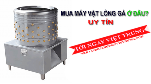 Máy vặt lông gà φ 60 cm (VT-VLG03)