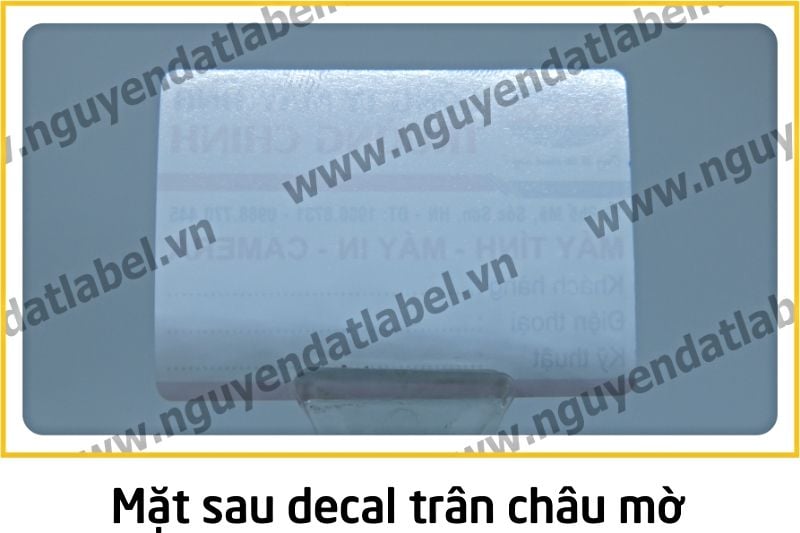 Decal Trân Châu