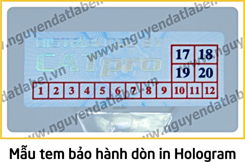 Tem Bảo Hành Dòn - Dẽo Vỡ In Hologram