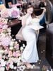 Trang trí trọn gói Background mẫu 420