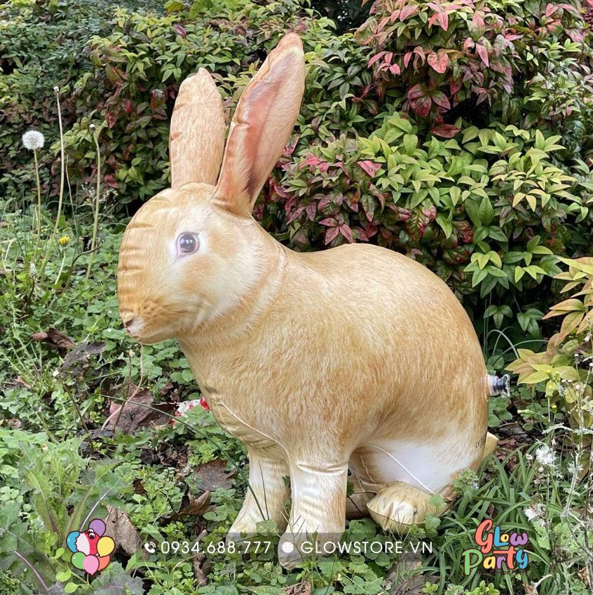 Bóng thú PVC cao cấp - Con thỏ