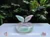 Phao PVC - Phao Đuôi cá - Pastel nhiều màu