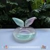 Phao PVC - Phao Đuôi cá - Pastel nhiều màu