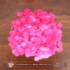 Confetti giấy tròn - Nhiều màu