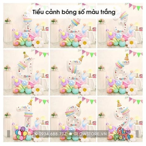  Trụ bóng số tạo hình - Chủ đề Daisy 