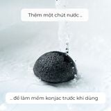 Miếng rửa mặt tinh than tre Konjac Sponge