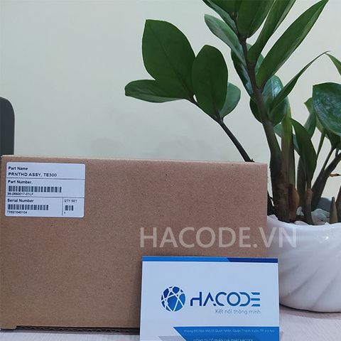 Đầu in Máy in mã vạch TSC TE300 300dpi