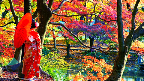 Du lịch Nhật Bản mùa hoa anh đào: Hà Nội - Tokyo - Odawara - Hakone - Núi Phú Sĩ - Vịnh Odaiba