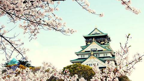 Du lịch Nhật Bản mùa hoa anh đào: Tokyo - Fuji.Mt - Nagoya - Kyoto - Osaka