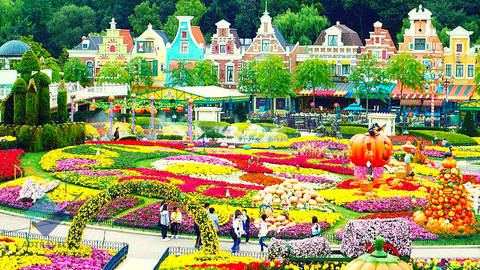 Du lịch Hàn Quốc dịp lễ 30.4 - 1.5: Seoul - Nami - Everland - Painter Show