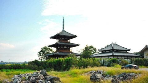 Du lịch Nhật Bản: Osaka - Nara - Kyoto - Núi Phú Sĩ - Tokyo