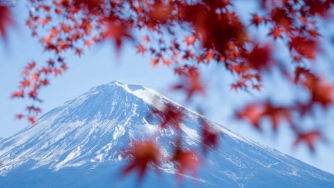 Du lịch Nhật Bản - Mùa lá đỏ: Nagoya  - Osaka - Kyoto - Toyohashi - Núi Phú Sỹ - Kawaguchiko - Tokyo
