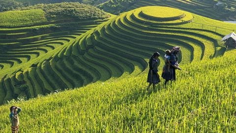 Tour Du lịch Sapa: Sapa - Chợ Bắc Hà