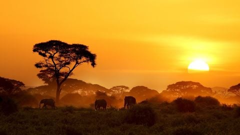 Khám phá Châu phi hoang dã: Kenya - Tanzania