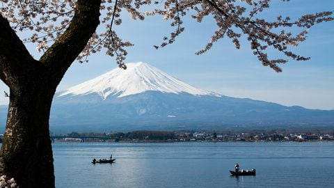 Nhật bản mùa hoa anh đào nở: Tokyo - Kyoto - Phú sỹ - Nagoya - Osaka