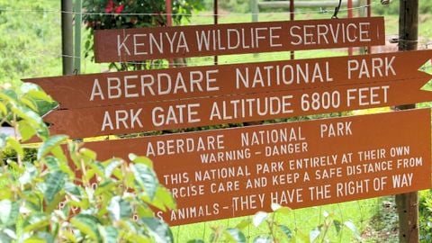 Khám phá Châu phi hoang dã: Kenya - Tanzania