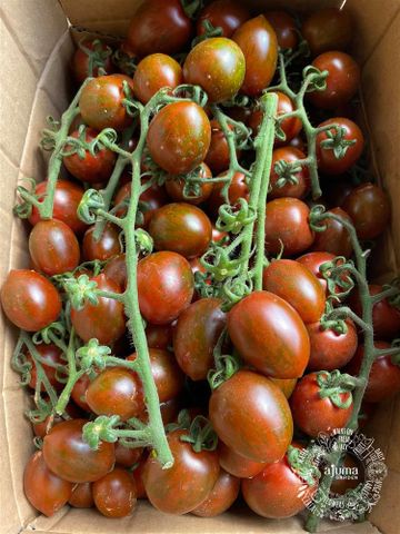  CA CHUA CHERRY SOCOLA VGAP XD 300G 