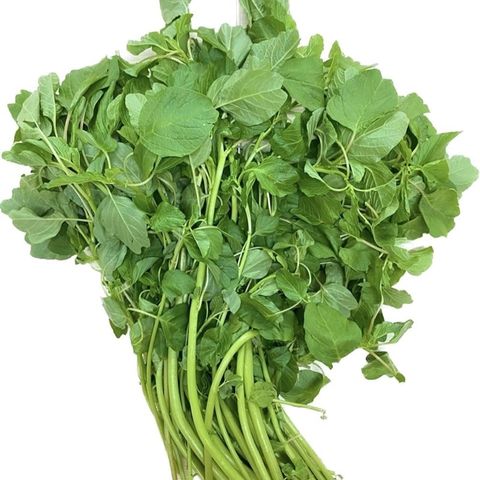  RAU DEN COM 300G VGAP XD 