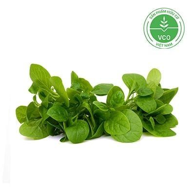  MONG TOI BABY HUU CO 250G 