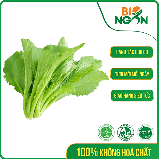  CAI XANH BABY HUU CO 250G 