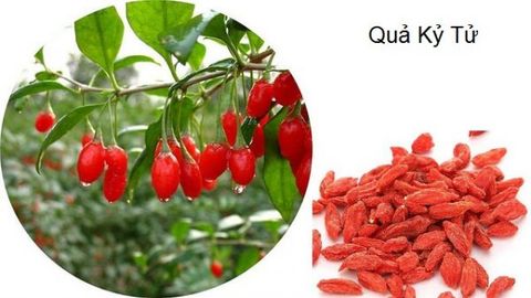  Câu Kỷ Tử Đỏ Only Nature 100gr 