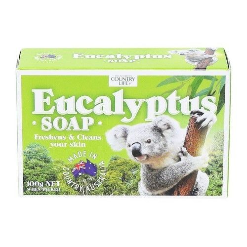  XÀ BÔNG EUCALYPTUS 