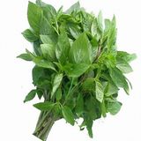  HÚNG QUẾ 50G VPP 