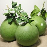  BUOI DA XANH LOAI 1_ 1,2KG - 2KG 