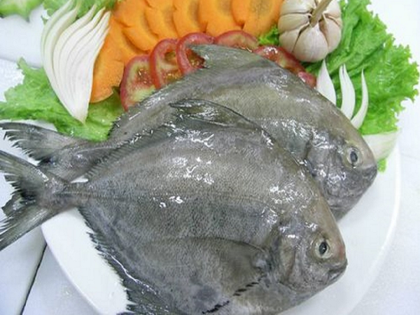  CA CHIM DEN 0.3 - 0.5KG/CON 