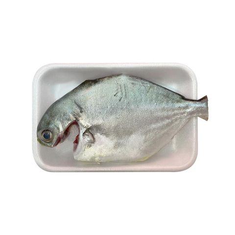  CA CHIM TRANG 0.3 - 0.7KG/CON 