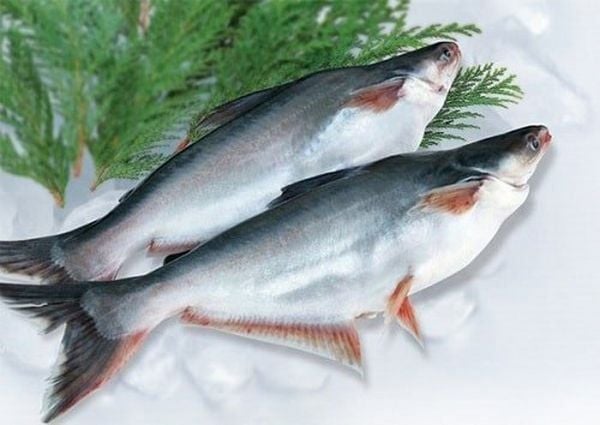  CA HU 0.5 -1KG/CON 