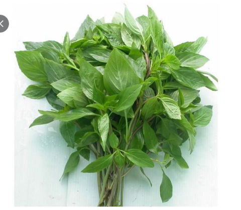 HÚNG QUẾ 50G VPP 