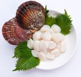  COI SO DIEP 40-60 OKINI 400G 