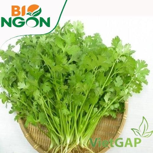  NGO RI HUU CO 50G 