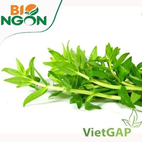  RAU OM HUU CO 50G 