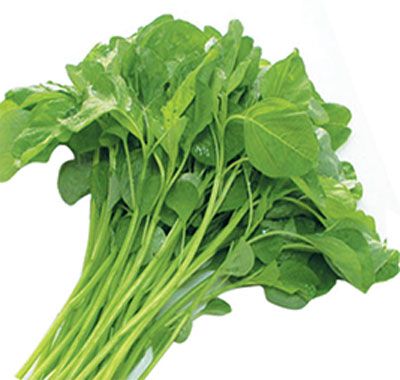  RAU DEN XANH VGAP XD 300G 