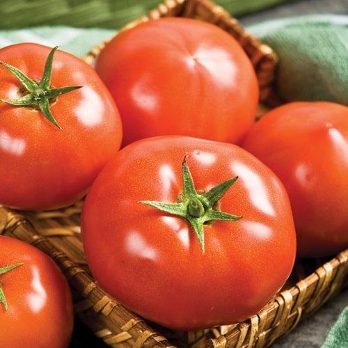  CA CHUA BEEF LOẠI 2 