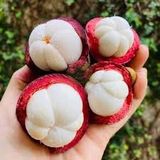  MANG CUT GIONG THAI 