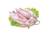  MUC ONG TRUNG 9-12CM/CON 