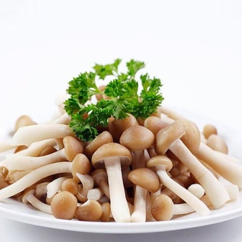  NẤM LINH CHI NÂU 