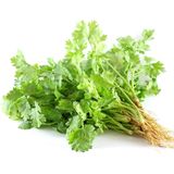  NGÒ RÍ 50G VPP 