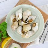  OC BULOT OKINI 300G 