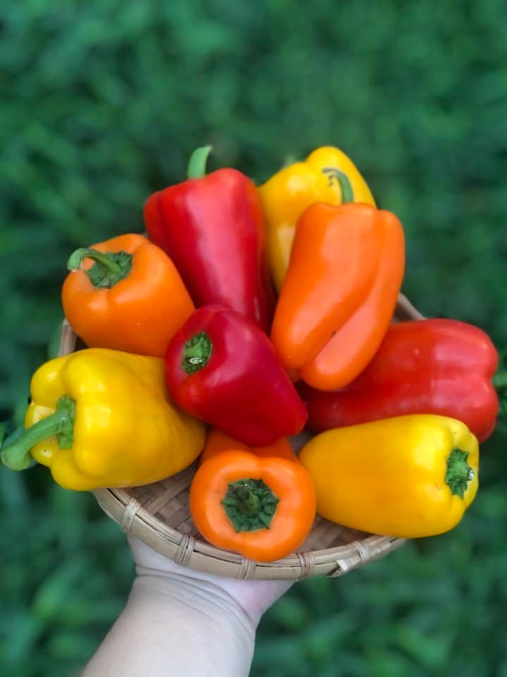  OT CHUONG BABY 300G VPP 