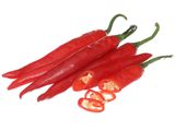  OT SUNG DO DA LAT 5-10 TRAI/100G 