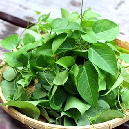  LA GIANG VGAP XD 200G 