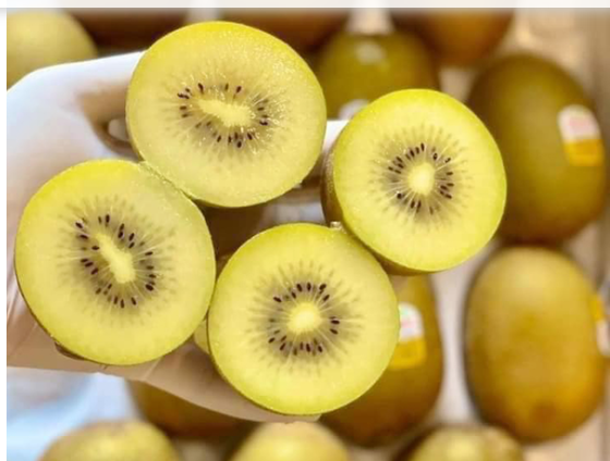  KIWI VANG NEW SIZE 22 