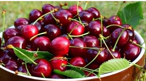  CHERRY DO MY 
