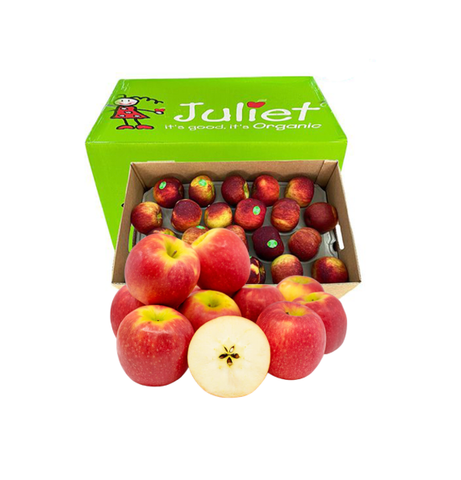  TAO JULIET PHAP SIZE 88 