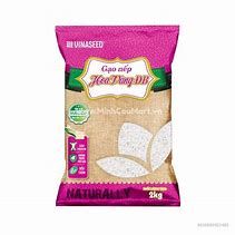  NEP BAC CAI HOA VANG 2 KG 